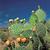 photo of Prickly_Pear007122