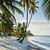 Photo of 820jennip
