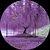 Photo of jerryo821