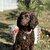 Photo of La-Chica-Negra