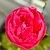 Photo of Quest17678548387
