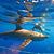 Photo of alejamor28