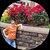 Photo of WVPixie