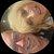 Photo of Lynette B