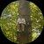 photo of Tourist41593755206