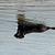 photo of Saltychic3144