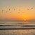 Photo of Odyssey621692