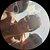 Photo of Explorer45064404690