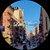 photo of Lisa R