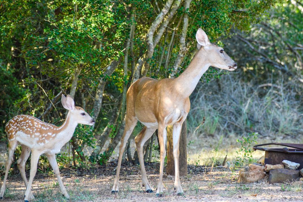 Turkey Bend Recreation Area