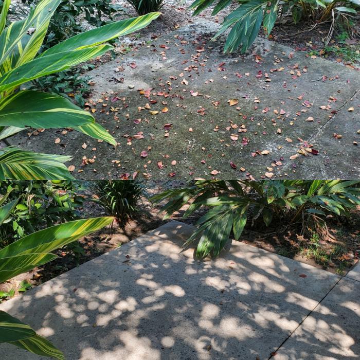 Around The Bend Pressure Washing