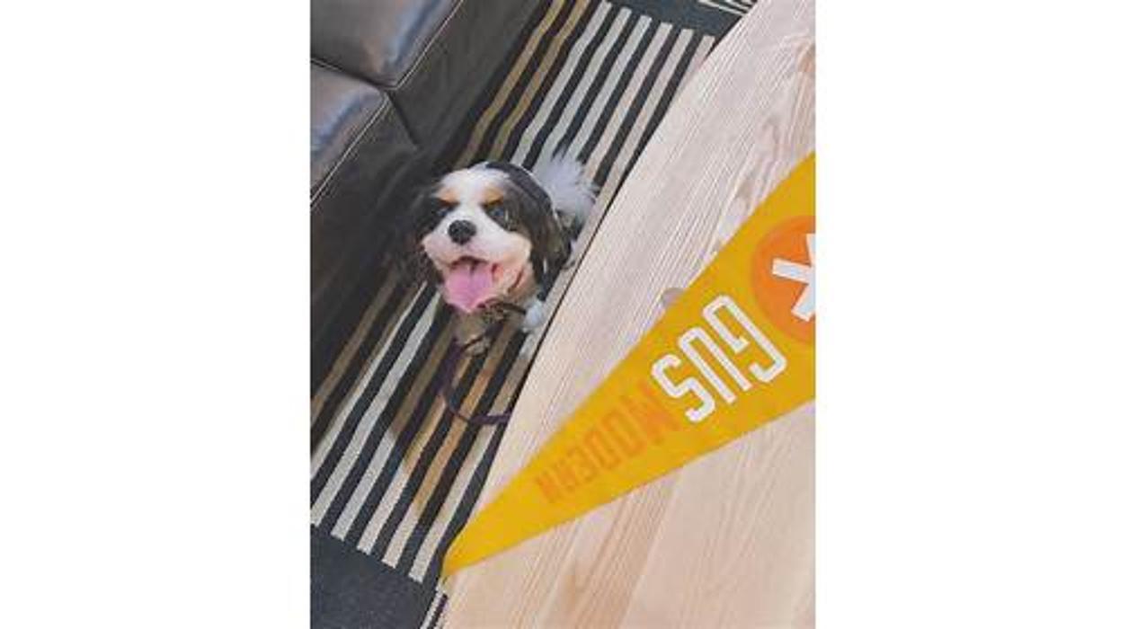 Collectic Home | Eurway.com