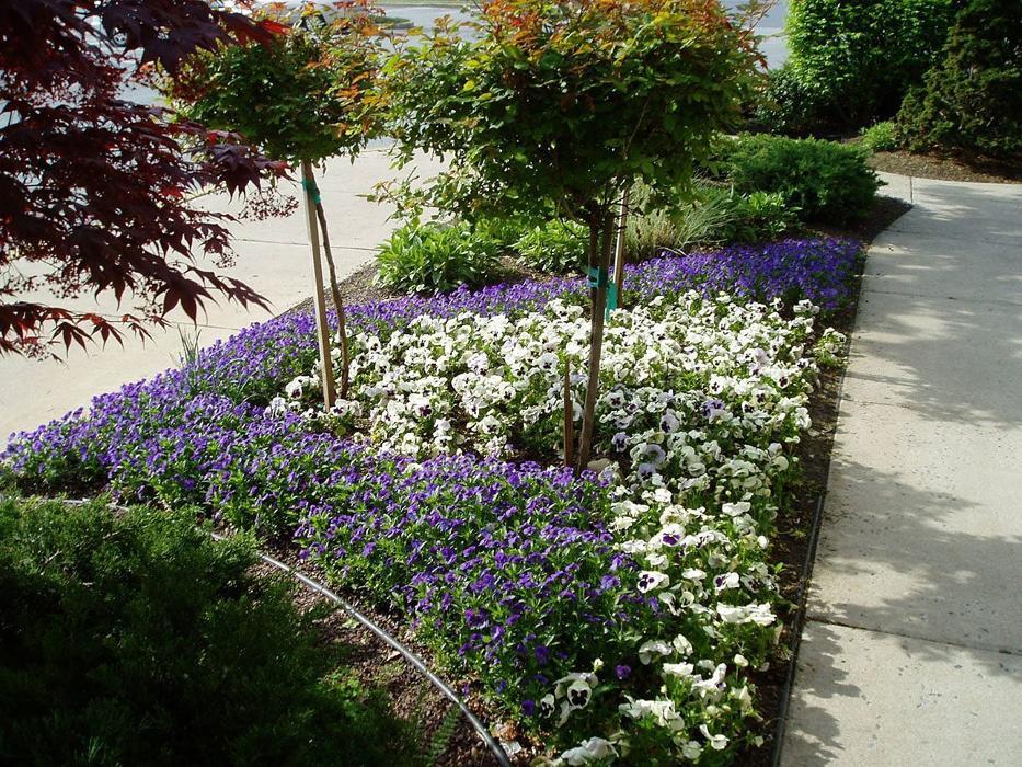 Evanston Landscaping LLC