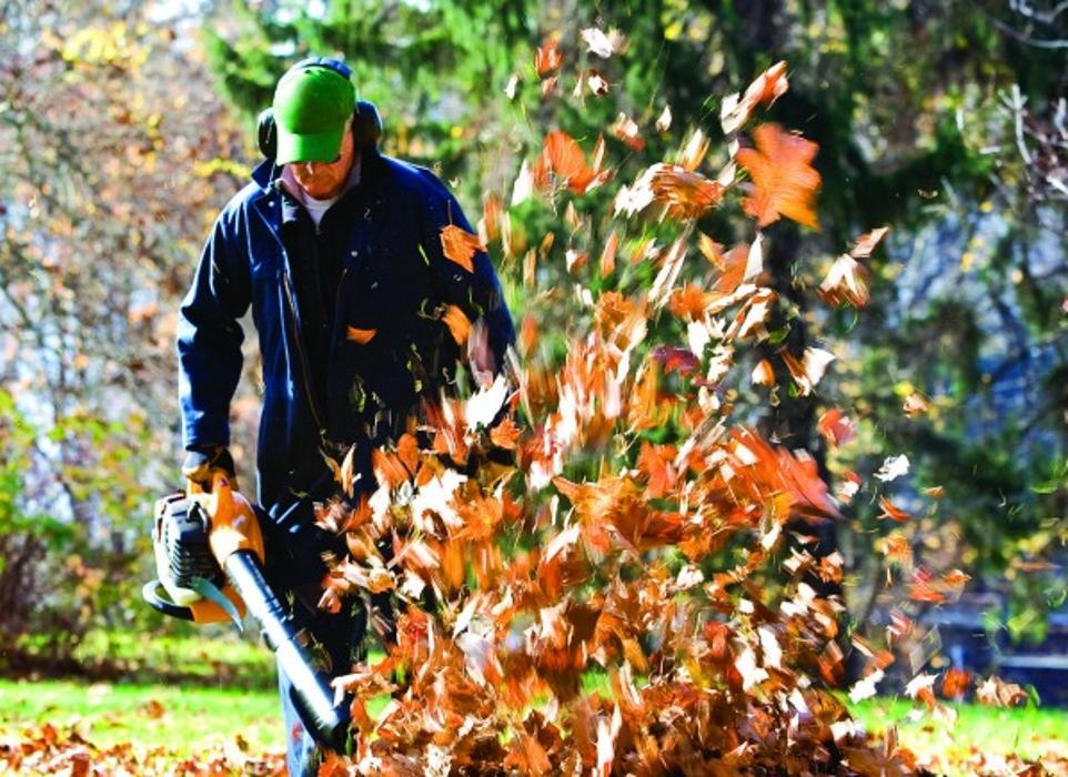Lynch Landscape & Tree Service