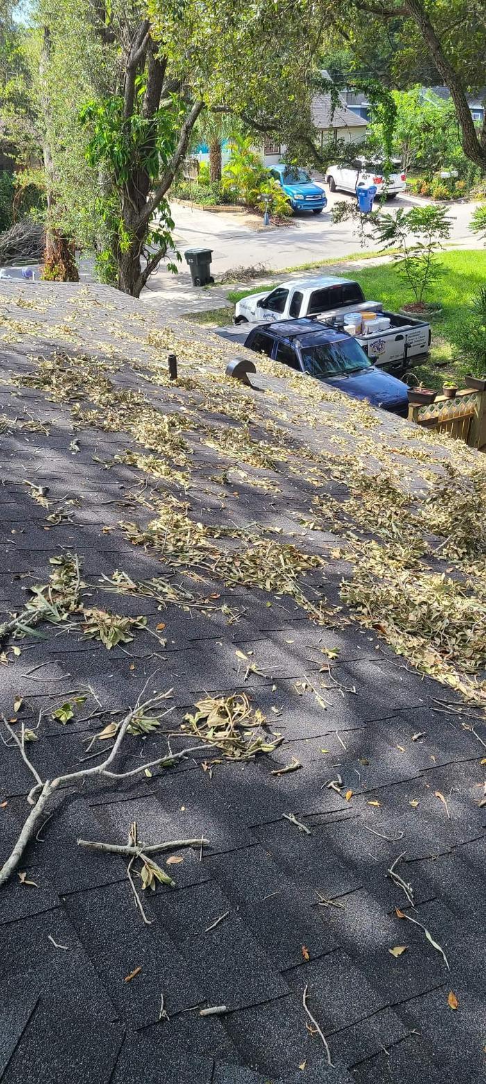 Complete Softwash Solutions