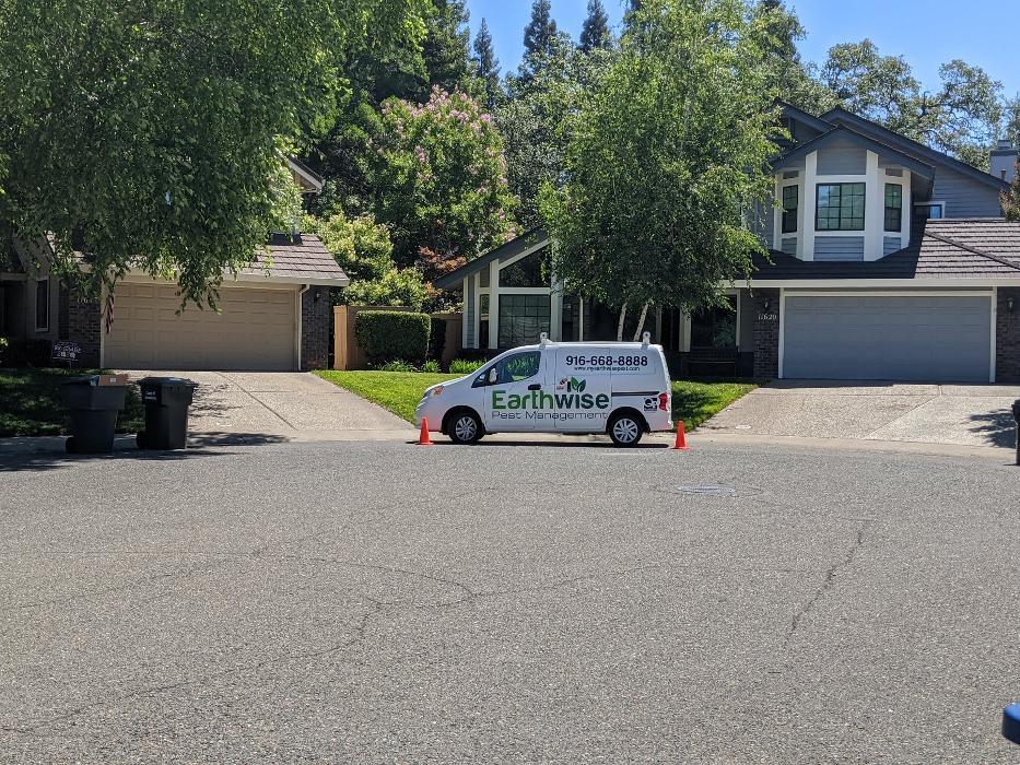 Earthwise Pest Management