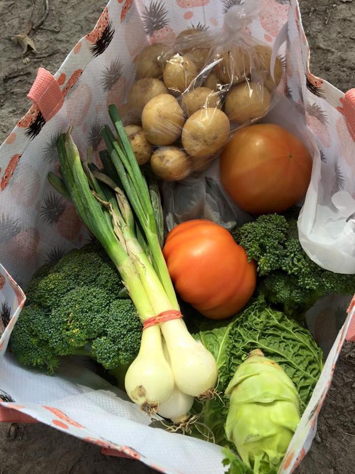 Goochland Farmers Market