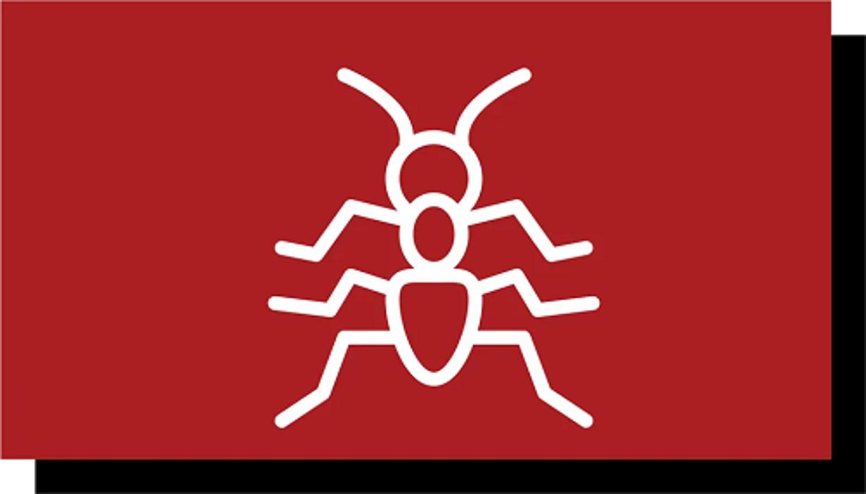 Modern Pest Solutions