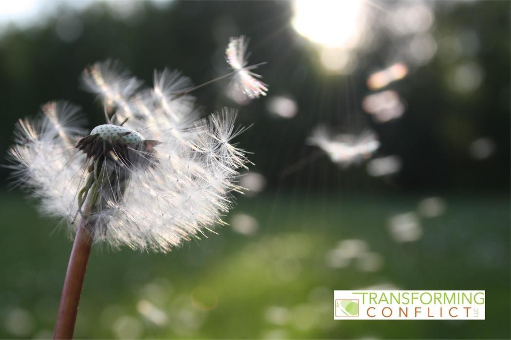 Transforming Conflict LLC