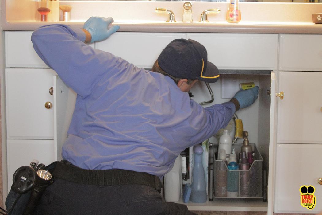 Truly Nolen Pest & Termite Control