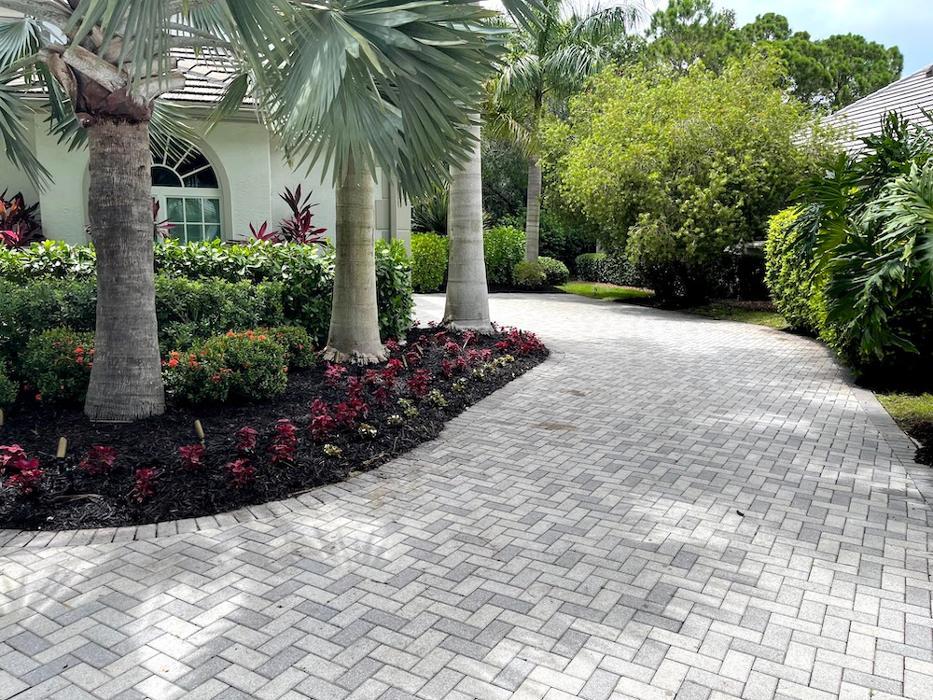 Tropical Gardens Landscape