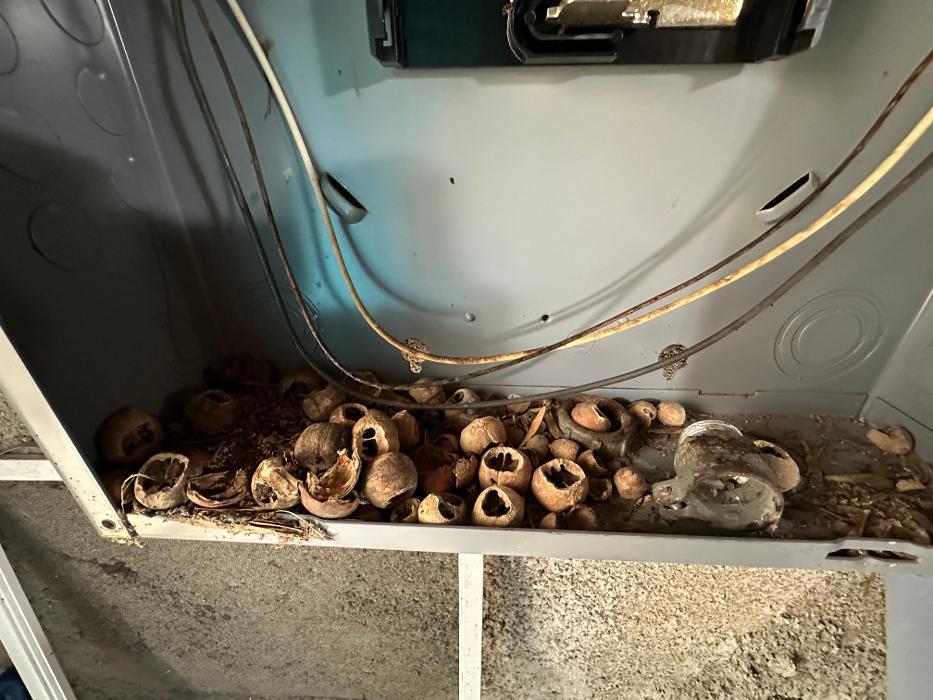 Rooney Home Inspections