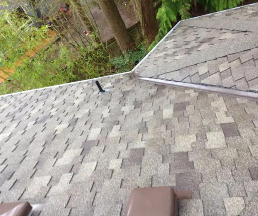 Alpine Roof Care