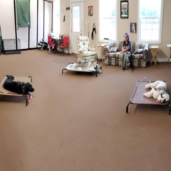 Breakthrough K9 Training