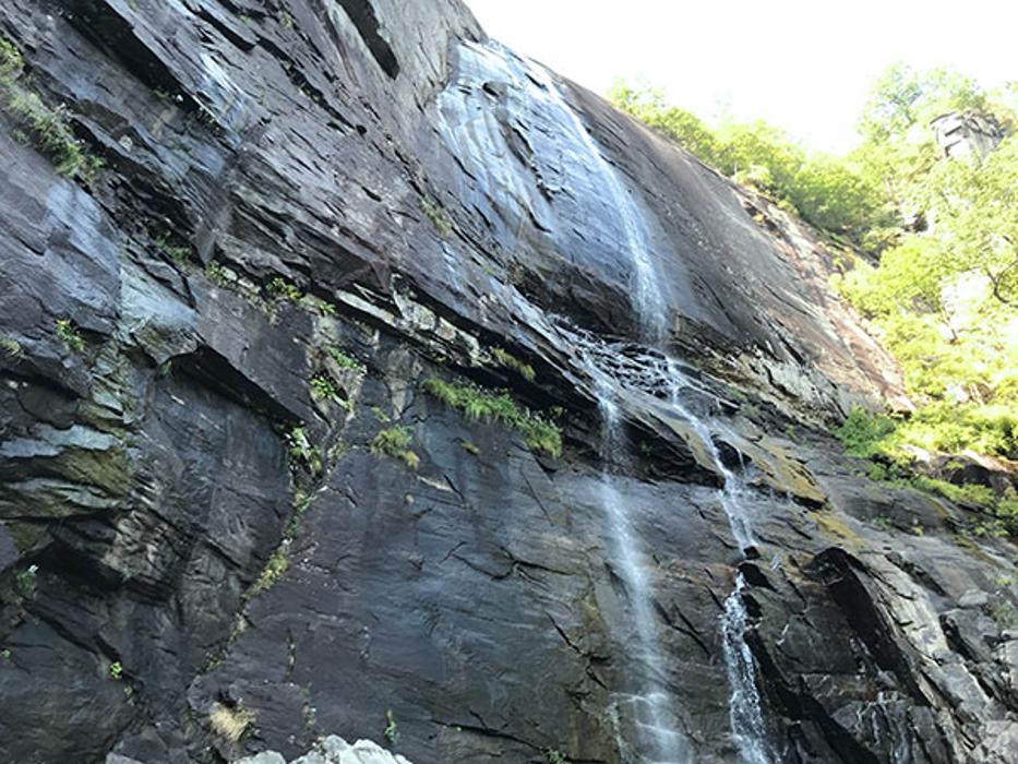 Buffalo Junction Properties