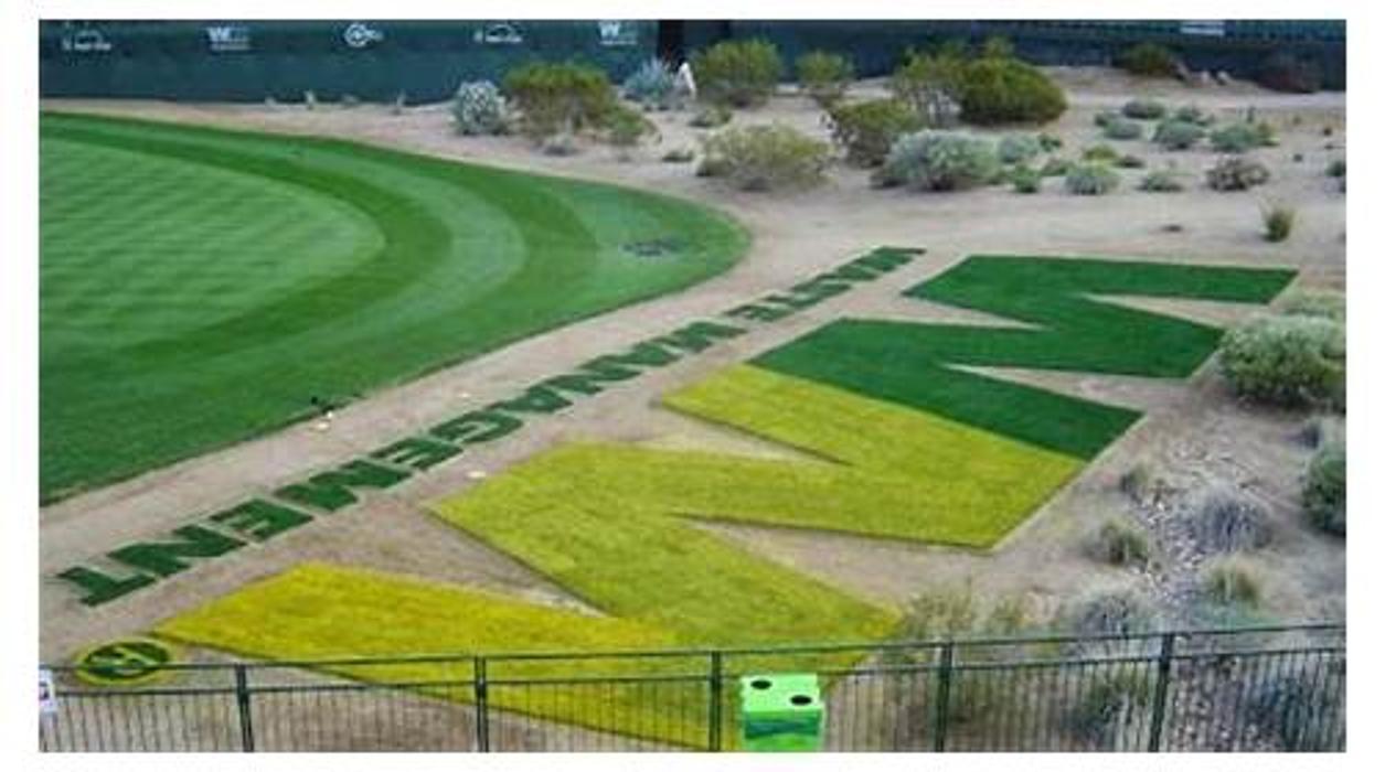 West Coast Turf/Western Sod - Scottsdale