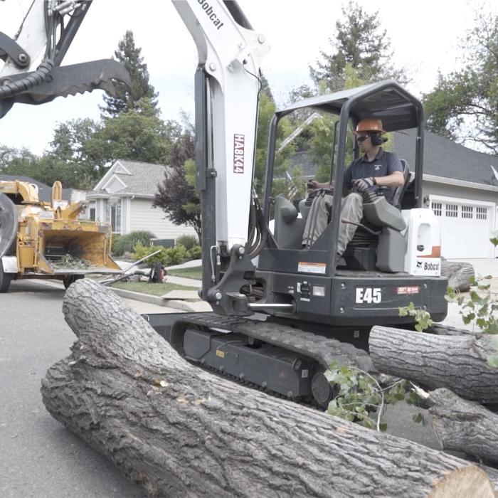 Bundy's Tree Service