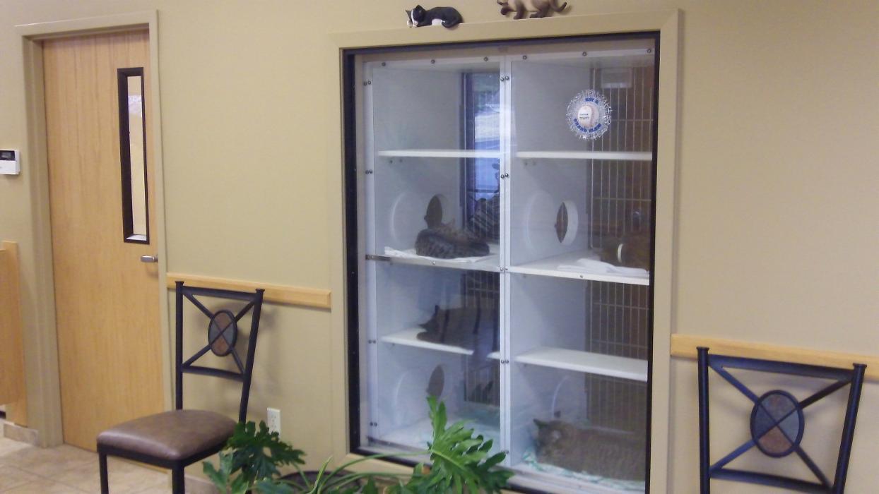 Veterinary Healthcare Clinic