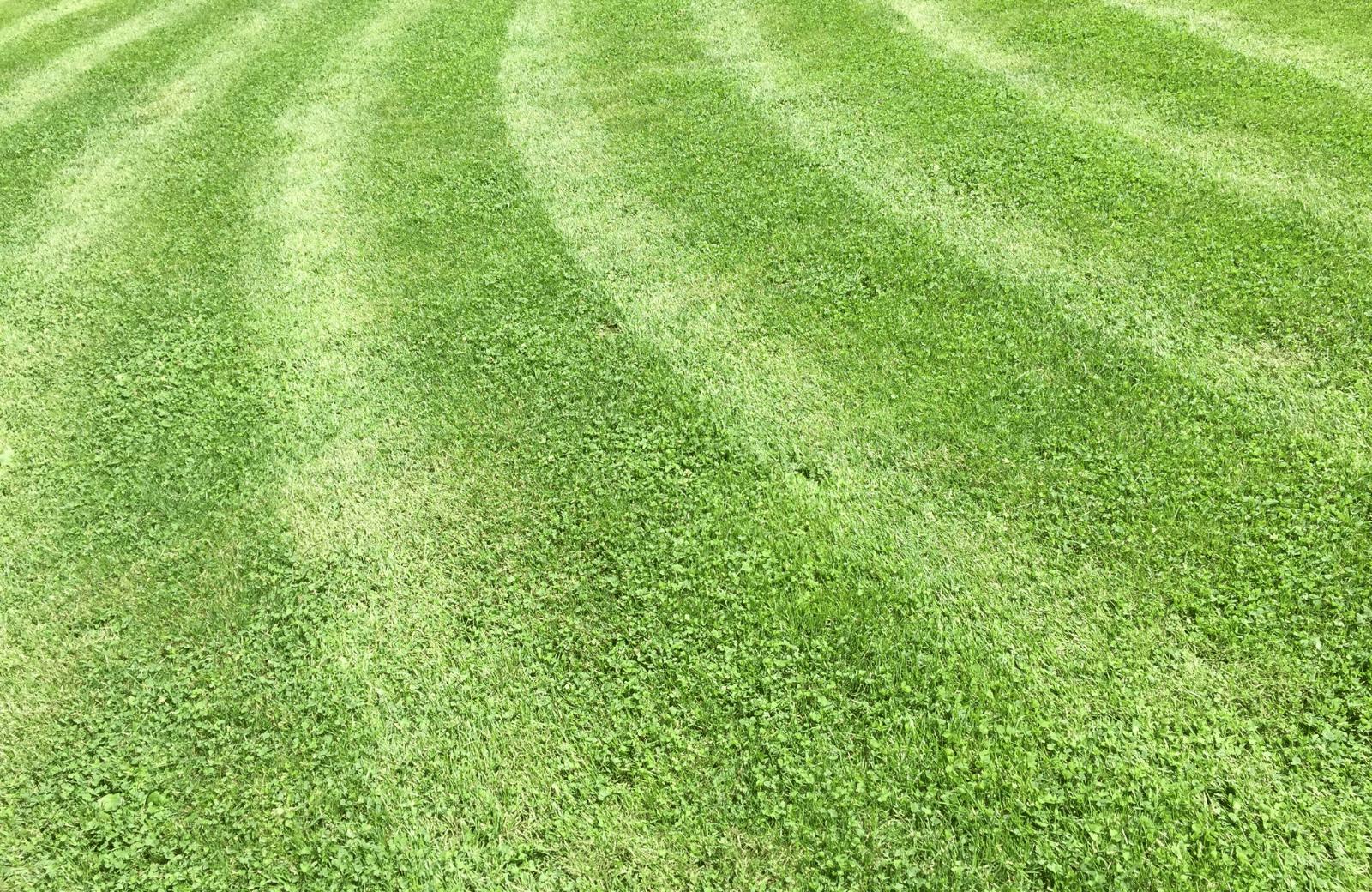 Southern State Landscape Inc.