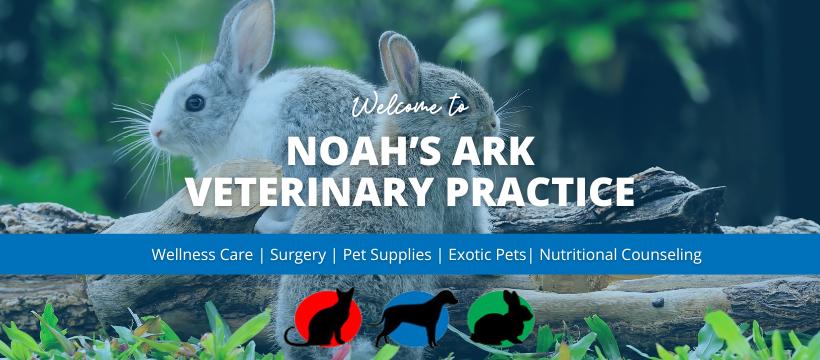 Noah's Ark Veterinary