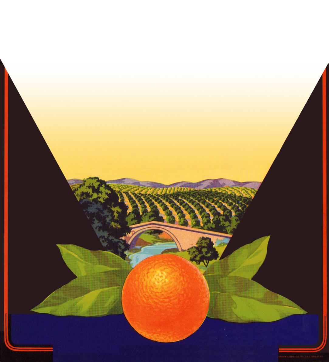 Citrust Insurance Agency