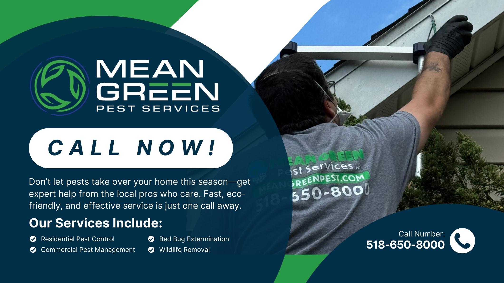 Mean Green Pest Services