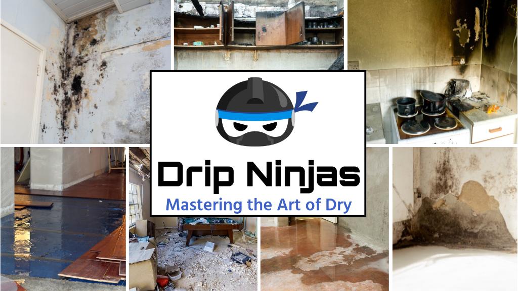 Drip Ninjas