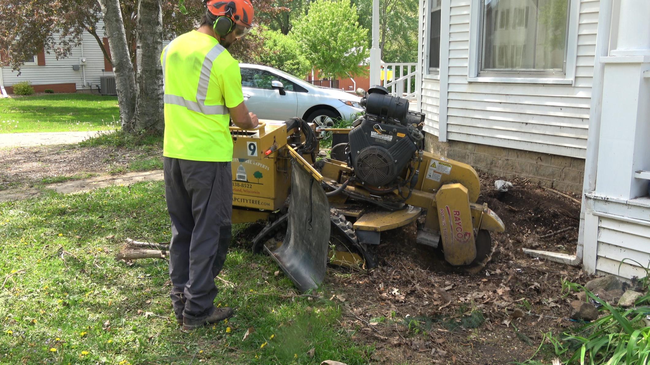 Winter Park Stump Grinding