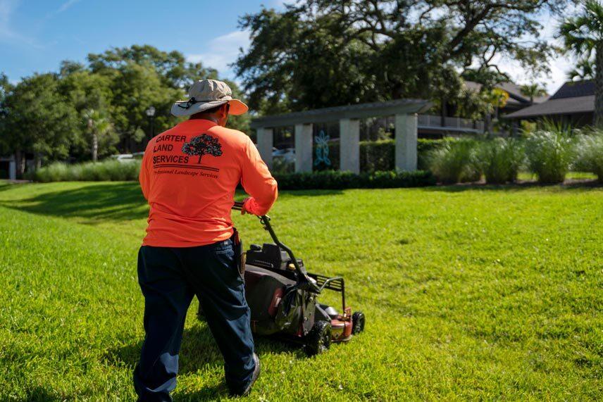 Carter Land Services