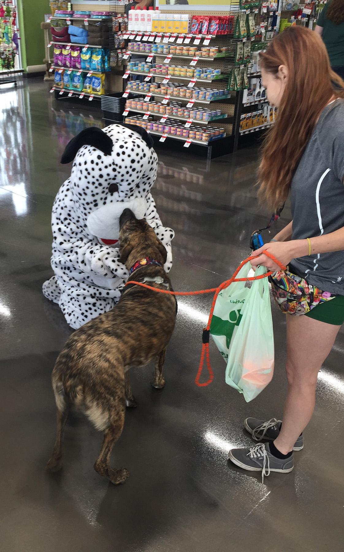 Pet Supplies Plus