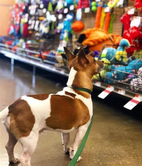 Pet Supplies Plus Owasso