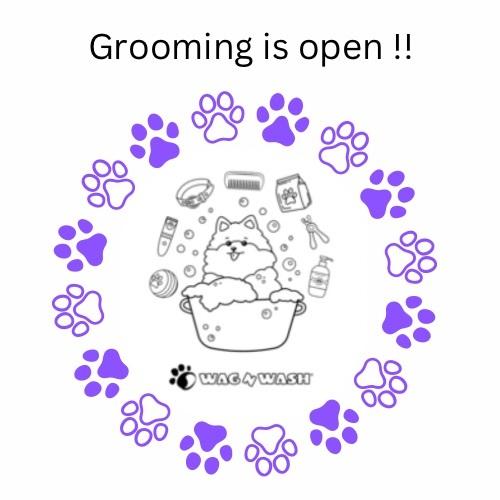Wag N' Wash Natural Pet Food & Grooming