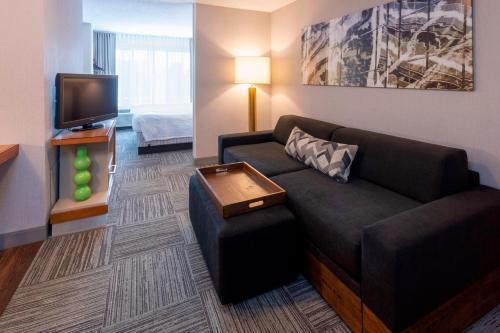 SpringHill Suites Rochester Mayo Clinic Area/Saint Marys