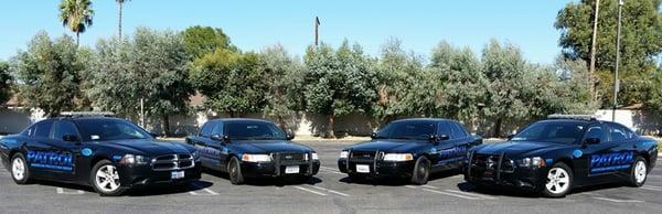 American Protection Group APG