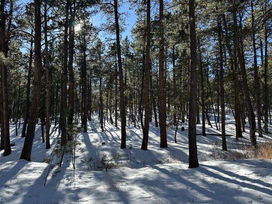 Fox Run Regional Park