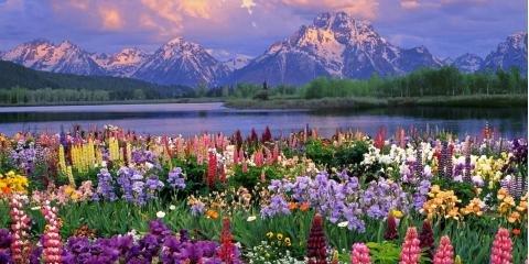 Johnson-Earnest Funeral Home