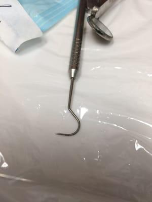 Le Dental - Mai Le, DDS