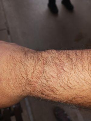 Harris Health Ben Taub Hospital