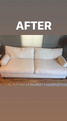 Doctor Steam Carpet & Upholstery Cleaning