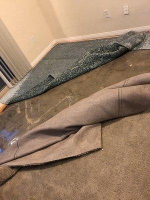 First time it flooded.